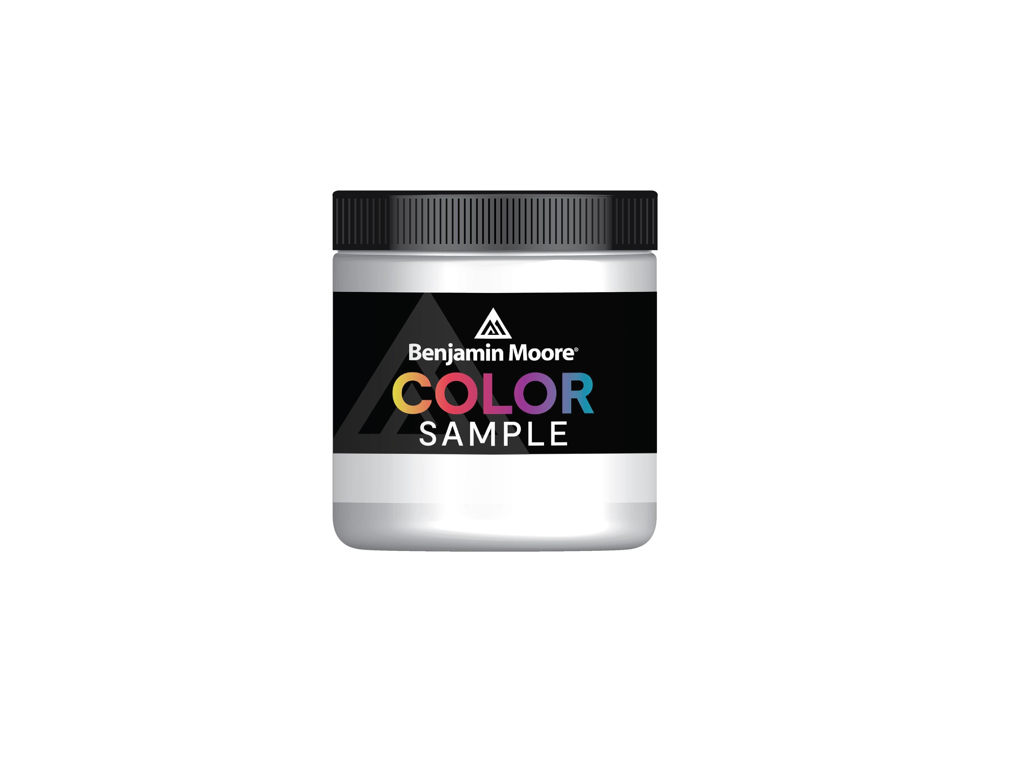 Color Sample Benjamin Moore