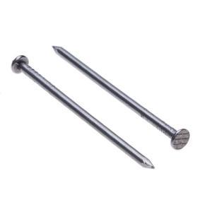 Chiodi acciaio  testa groppino 1,2x30 mm confezione 100 pezzi