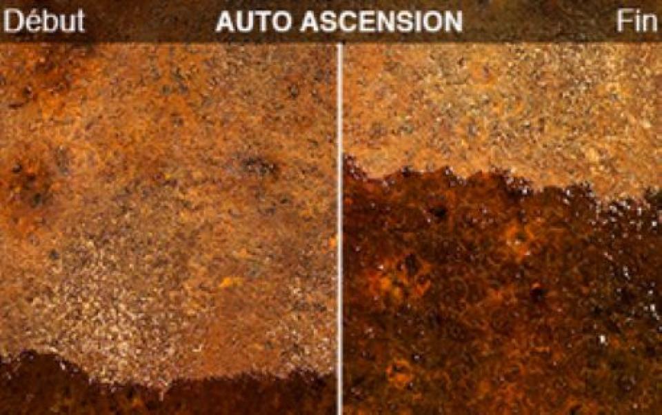 owatrol owatrol - oil antiruggine penetrante additivo per pitture  lt 1 - foto 4