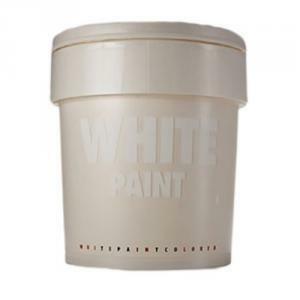 Pittura decorativa perlata  white paint 1 litro bianco madreperla 2040
